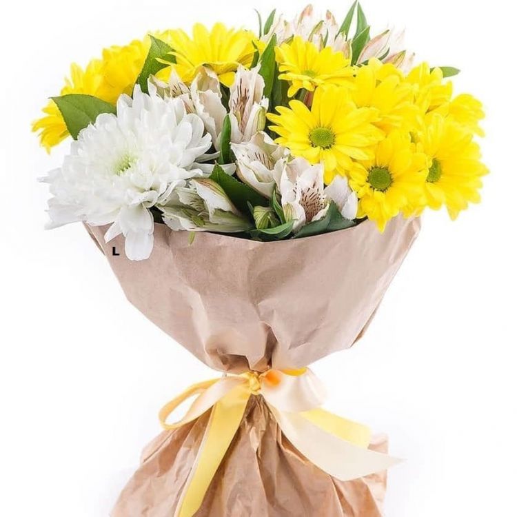 Солнечный луч от 4 410 руб.